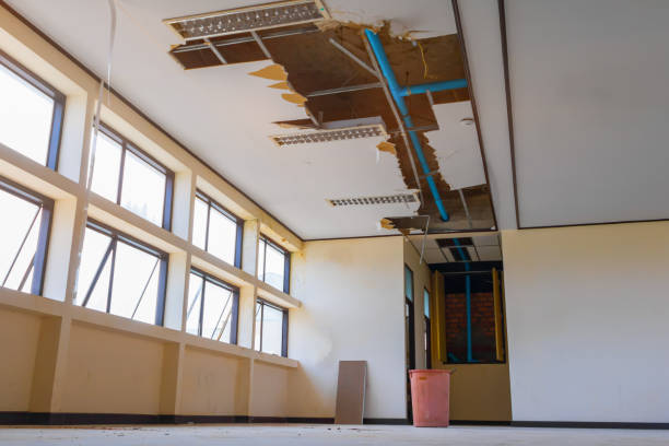 Best Flood damage cleanup  in Sage, CA