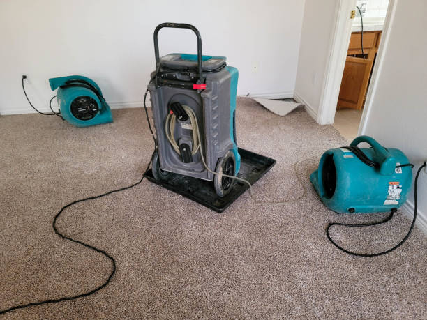 Best Commercial water damage restoration  in Sage, CA