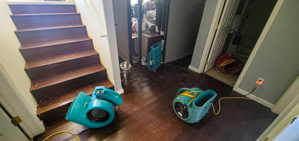 Best Flooded house restoration  in Sage, CA