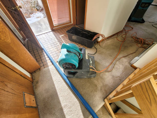 Best Water damage contractors near me  in Sage, CA