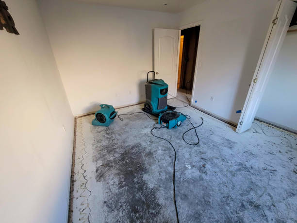 Best Flood damage cleanup  in Sage, CA