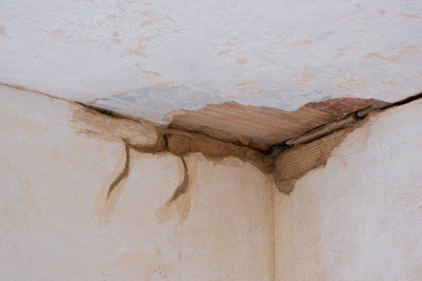 Best 24/7 water damage repair  in Sage, CA