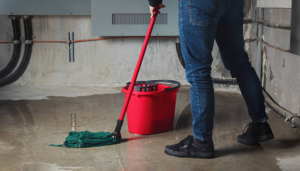 Best Water damage contractors near me  in Sage, CA