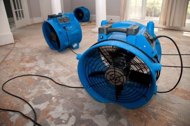 Best Water damage restoration near me  in Sage, CA