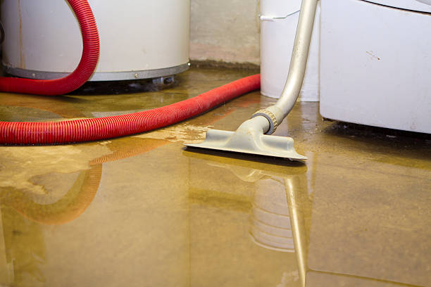 Best Professional water damage repair  in Sage, CA