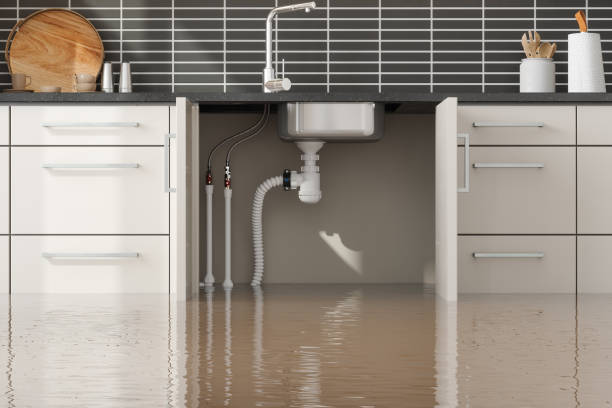 Best Basement water damage restoration  in Sage, CA