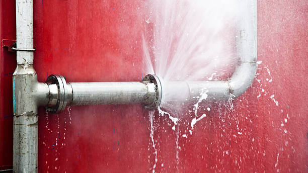 Best Water damage restoration specialists  in Sage, CA